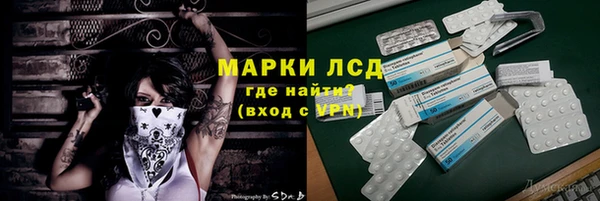 крисы Надым