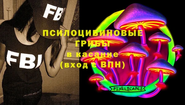 PSILOCYBIN Апатиты