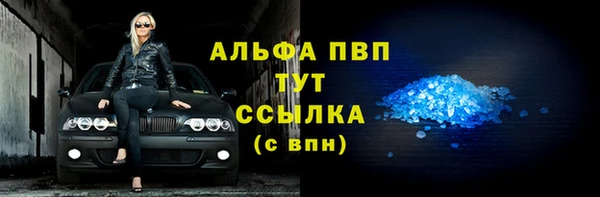 крисы Надым