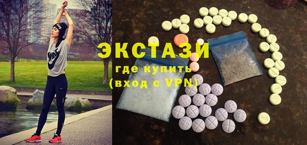 крисы Надым