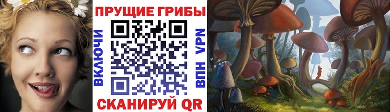 mega ТОР  Киржач  Галлюциногенные грибы Psilocybine cubensis 