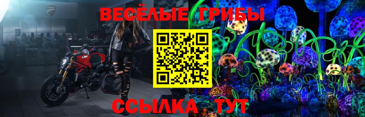 Псилоцибиновые грибы прущие грибы  Киржач 